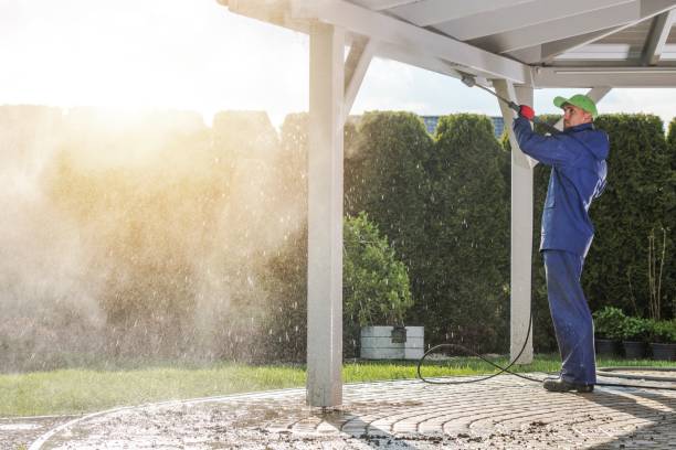 Best Sign and Awning Cleaning  in Maquoketa, IA